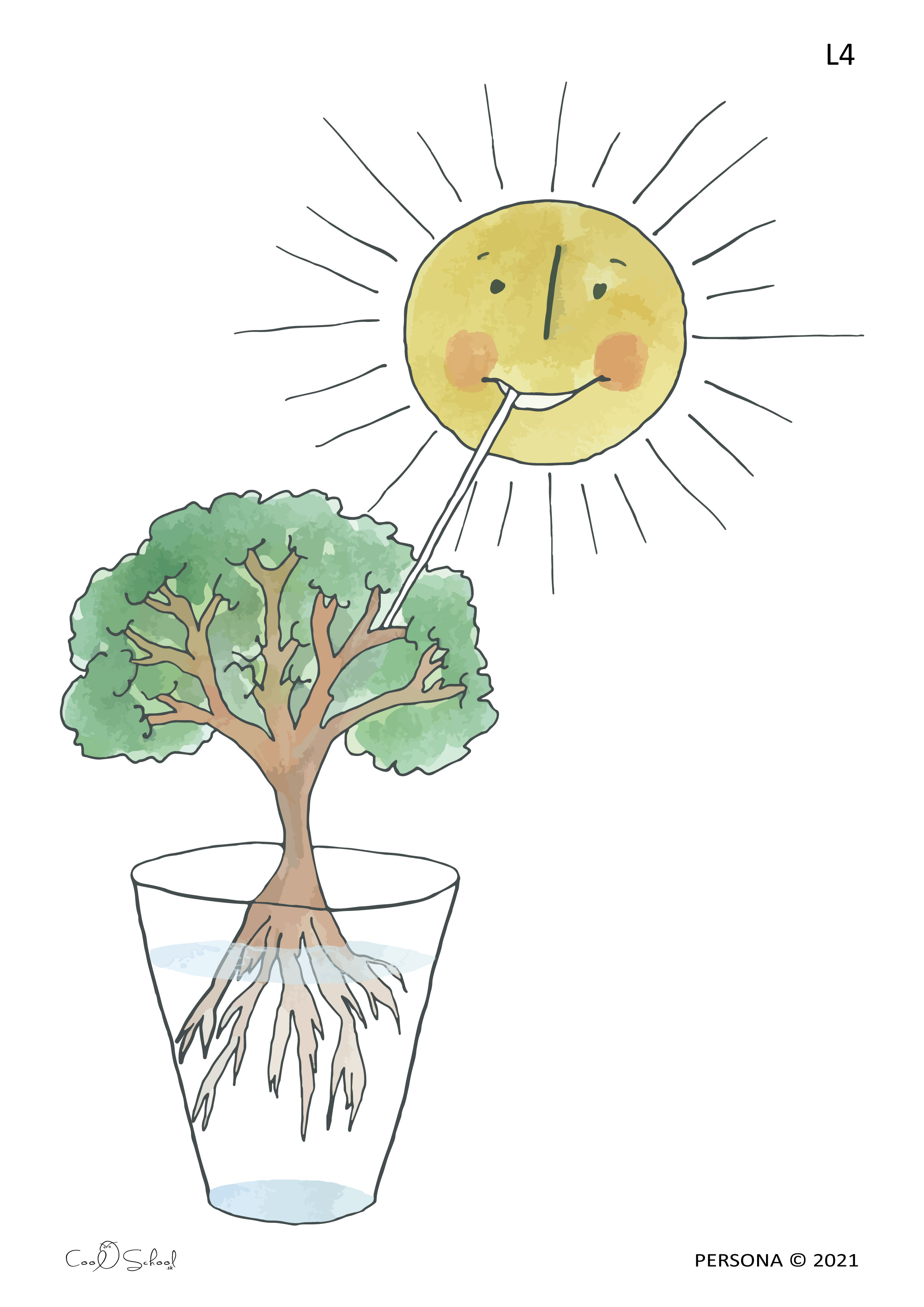 The Sun’s Drink / Water Evaporates from the Plant in Transpiration